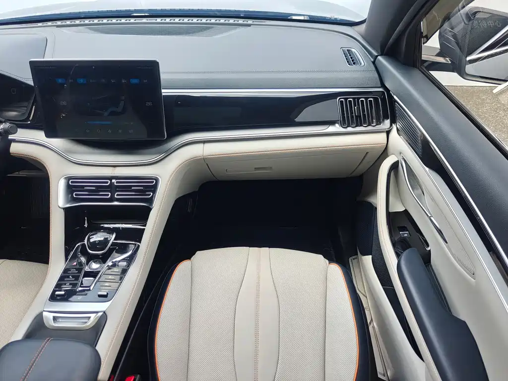 BYD PLUS New Energy — миниатюра 17