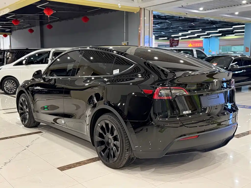 Tesla Model Y — миниатюра 8