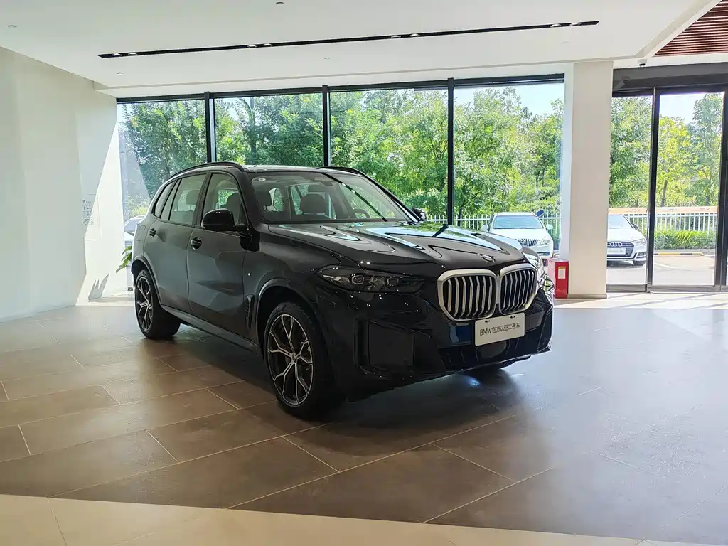 BMW X5 — миниатюра 3
