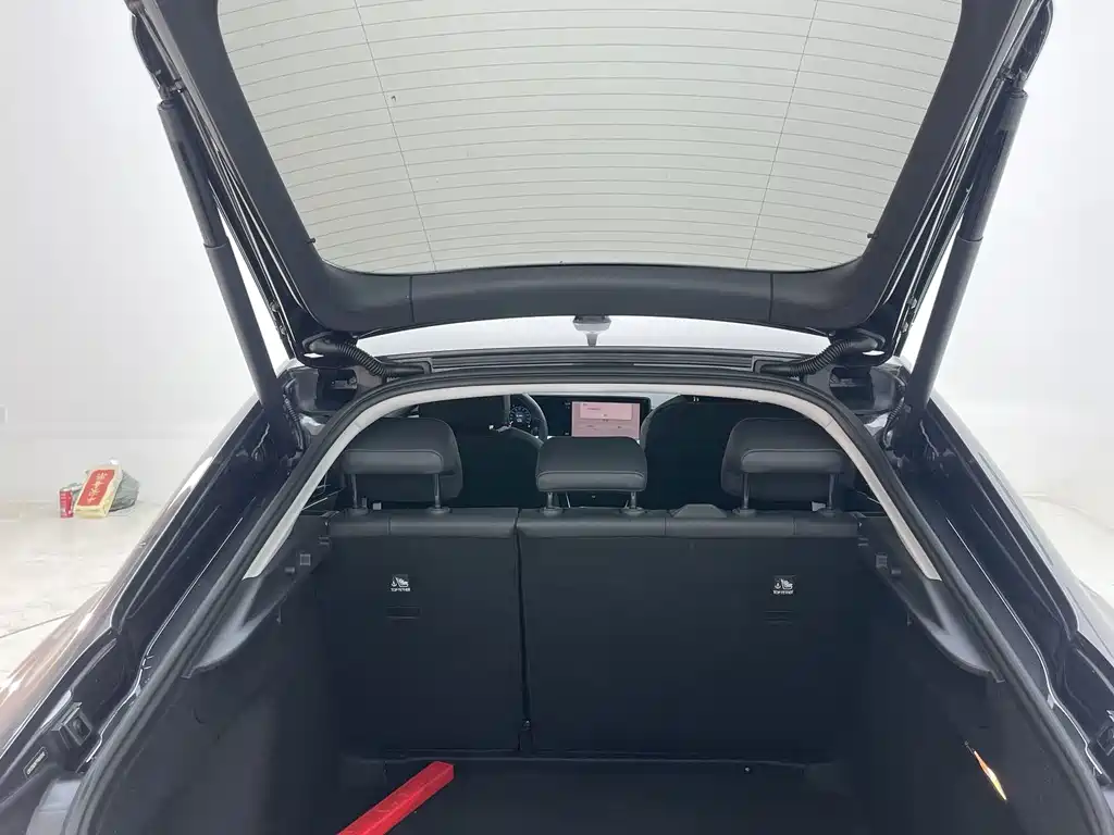 Volkswagen Lamando — миниатюра 21