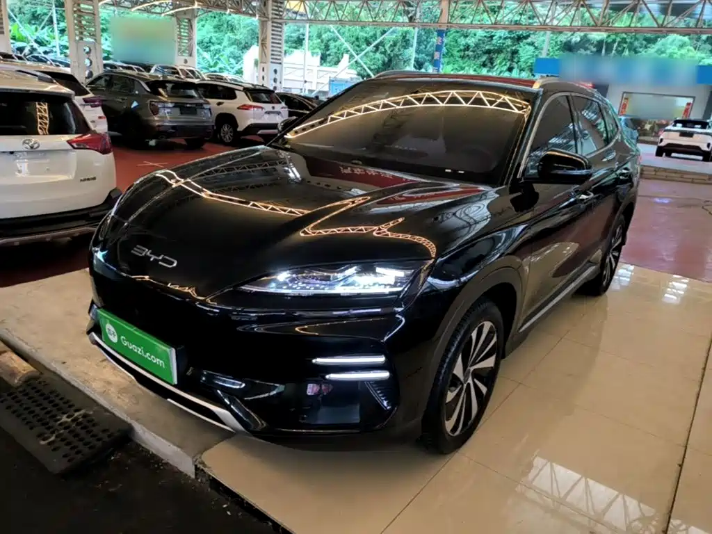 BYD PLUS New Energy — миниатюра 2
