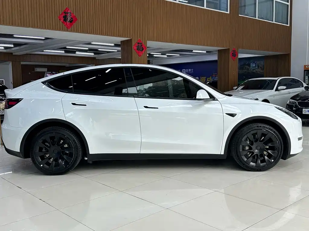 Tesla Model Y — миниатюра 5