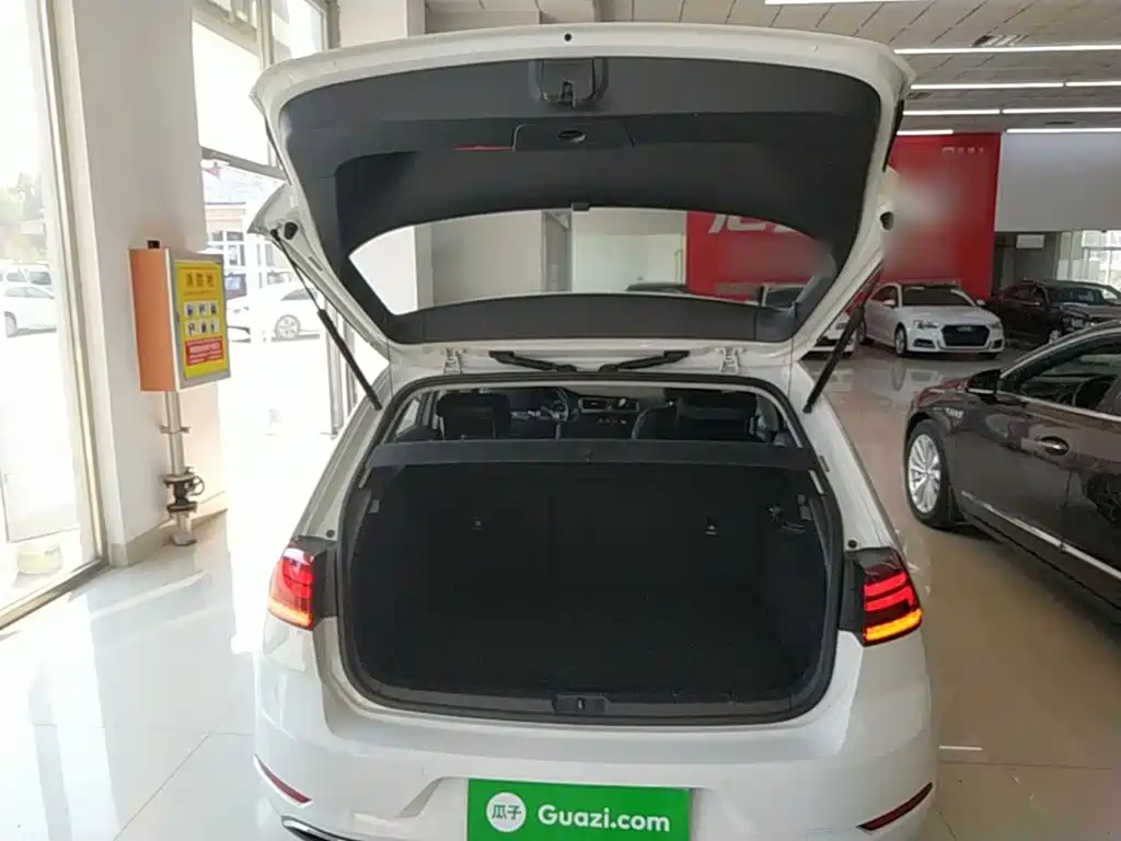 Volkswagen Golf — миниатюра 19