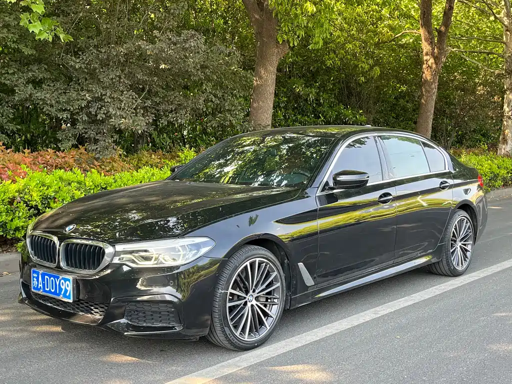 BMW 5 Series 2020