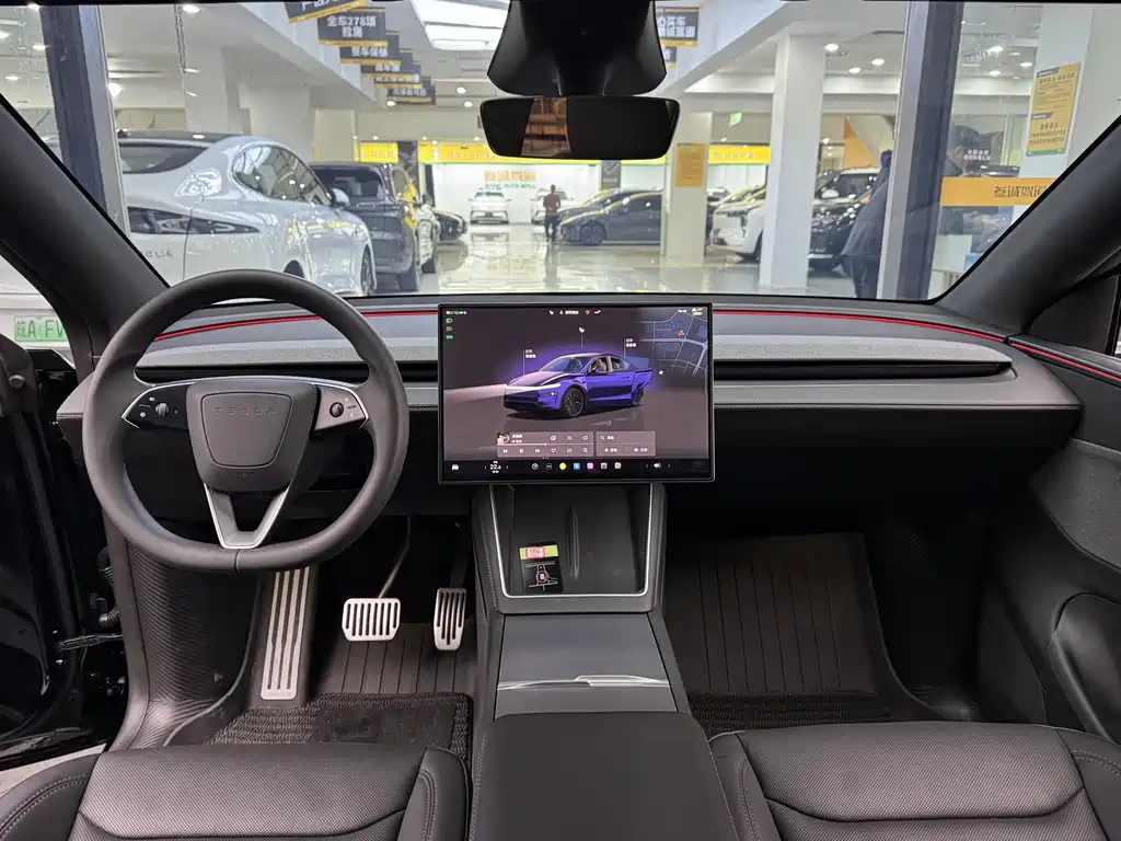 Tesla Model Y — миниатюра 10