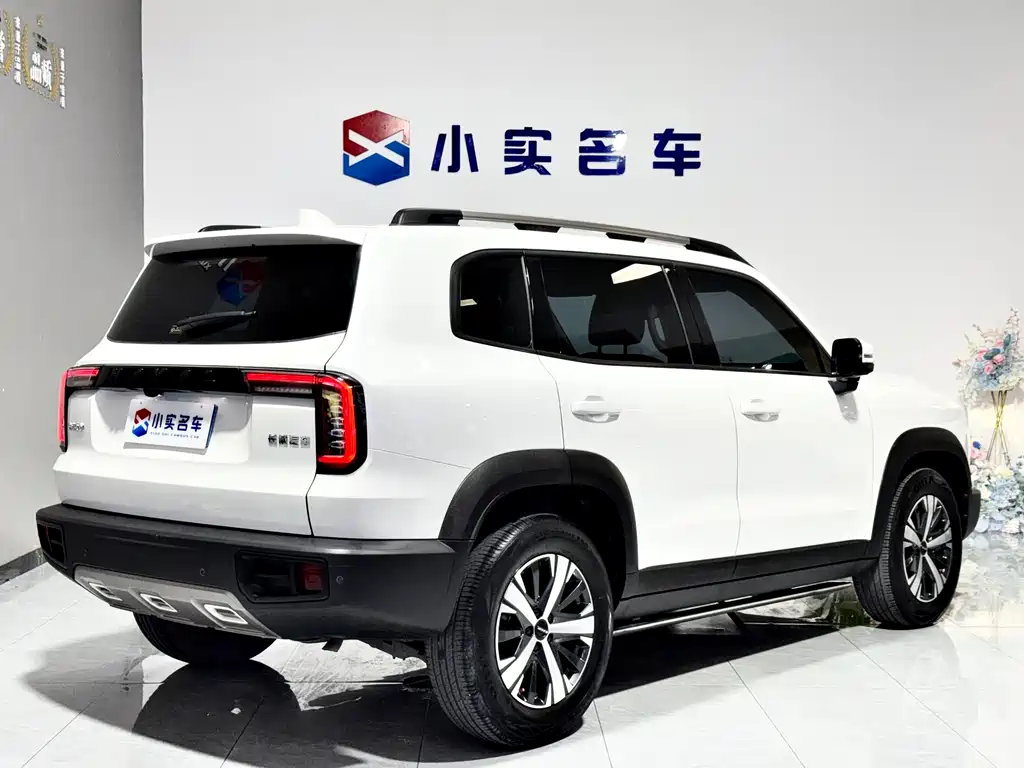 Haval Big Dog - фото 7