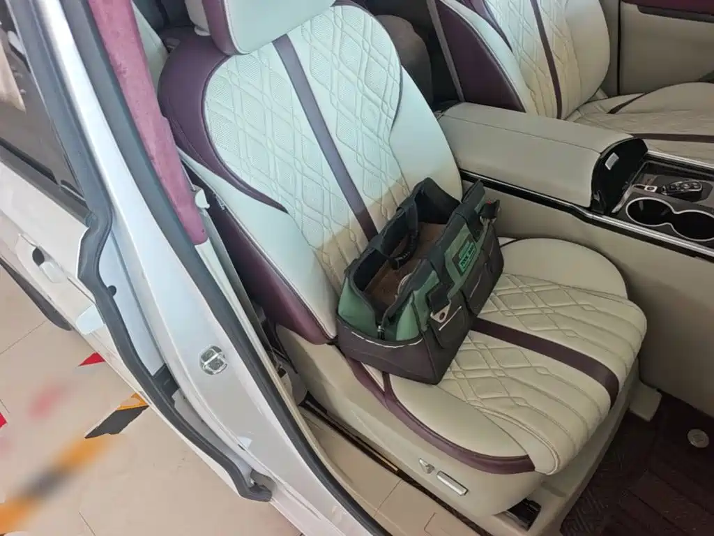 Buick GL8 — миниатюра 25