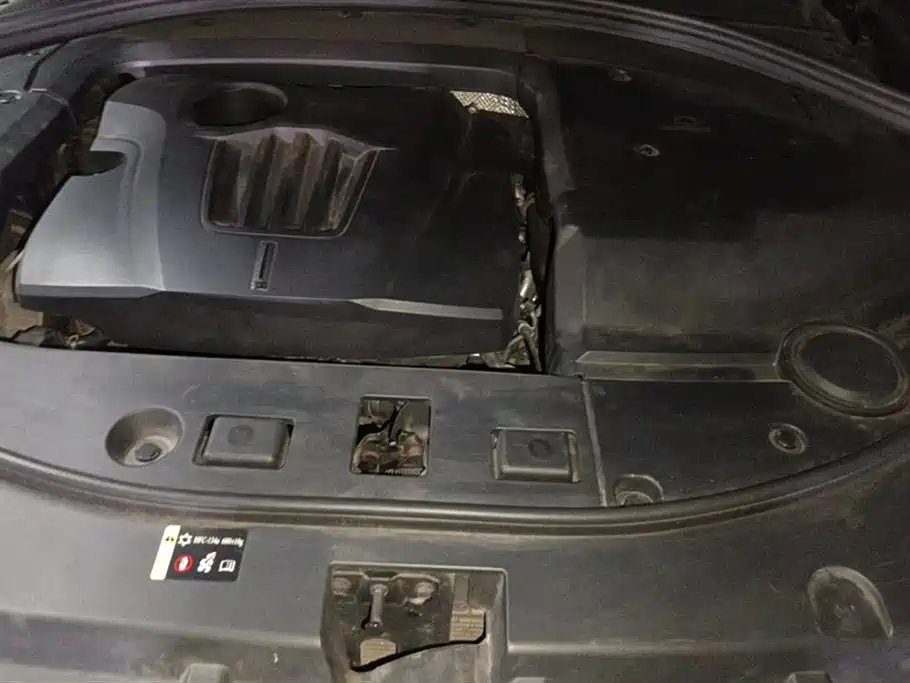 WEI PAI WEI BRAND VV7