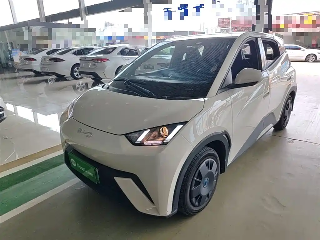 Byd Seagull 2024