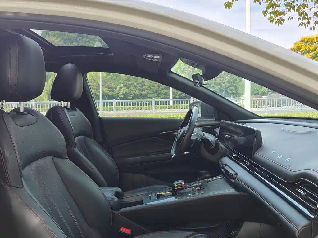 GAC Motor Shadow Leopard — миниатюра 10