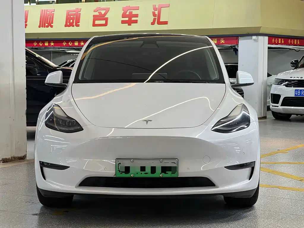 Tesla Model Y — миниатюра 3