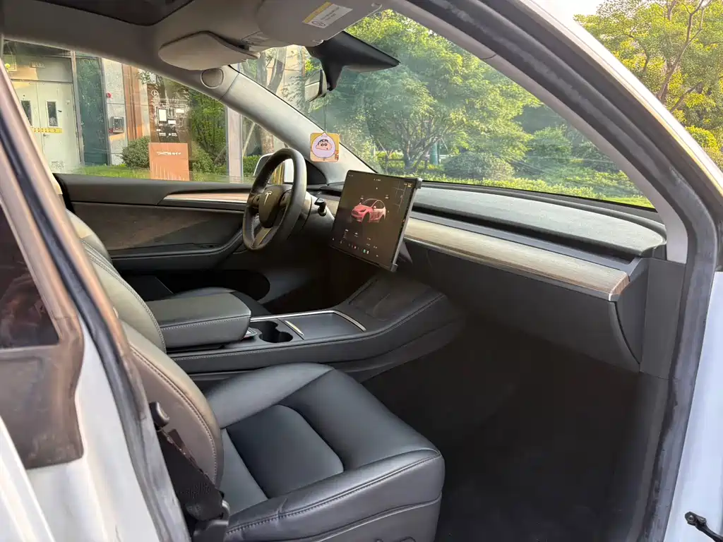 Tesla Model Y — миниатюра 12
