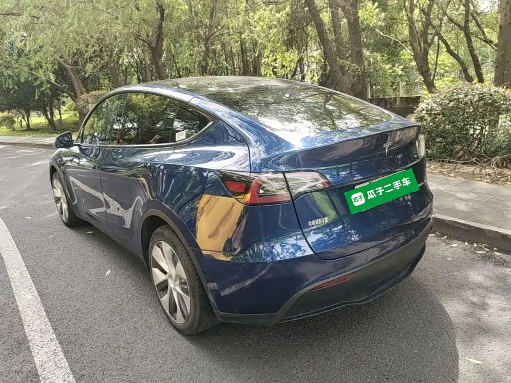 Tesla Model Y — миниатюра 5