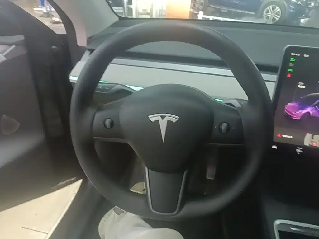 Tesla Model Y — миниатюра 11