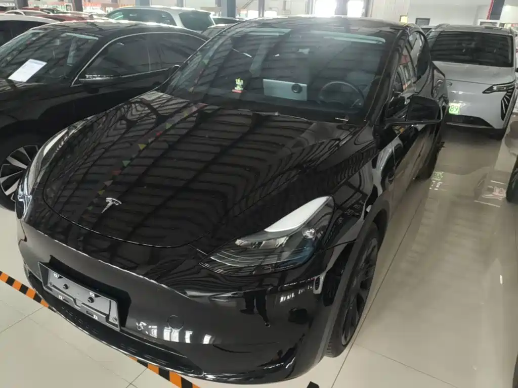 Tesla Model Y — миниатюра 2