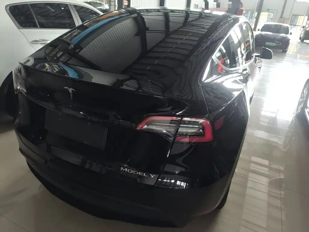 Tesla Model Y — миниатюра 7