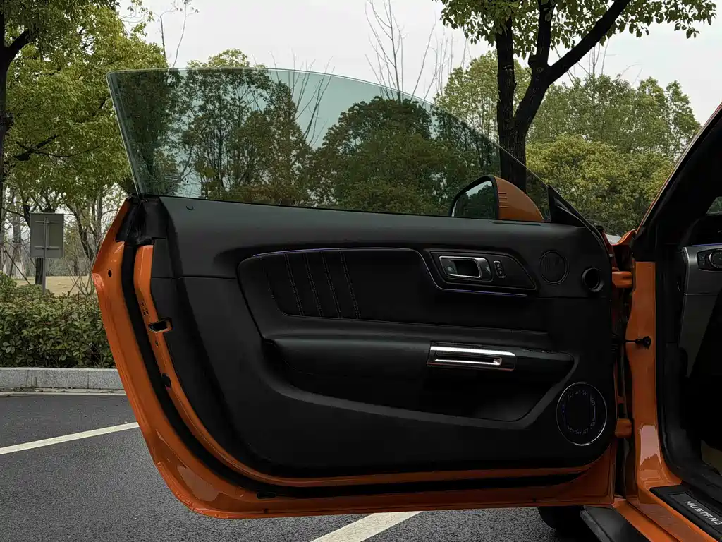 Ford Mustang — миниатюра 10