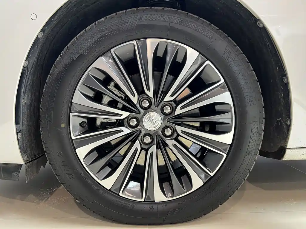 Buick GL8 — миниатюра 23