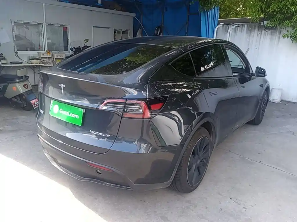Tesla Model Y — миниатюра 7