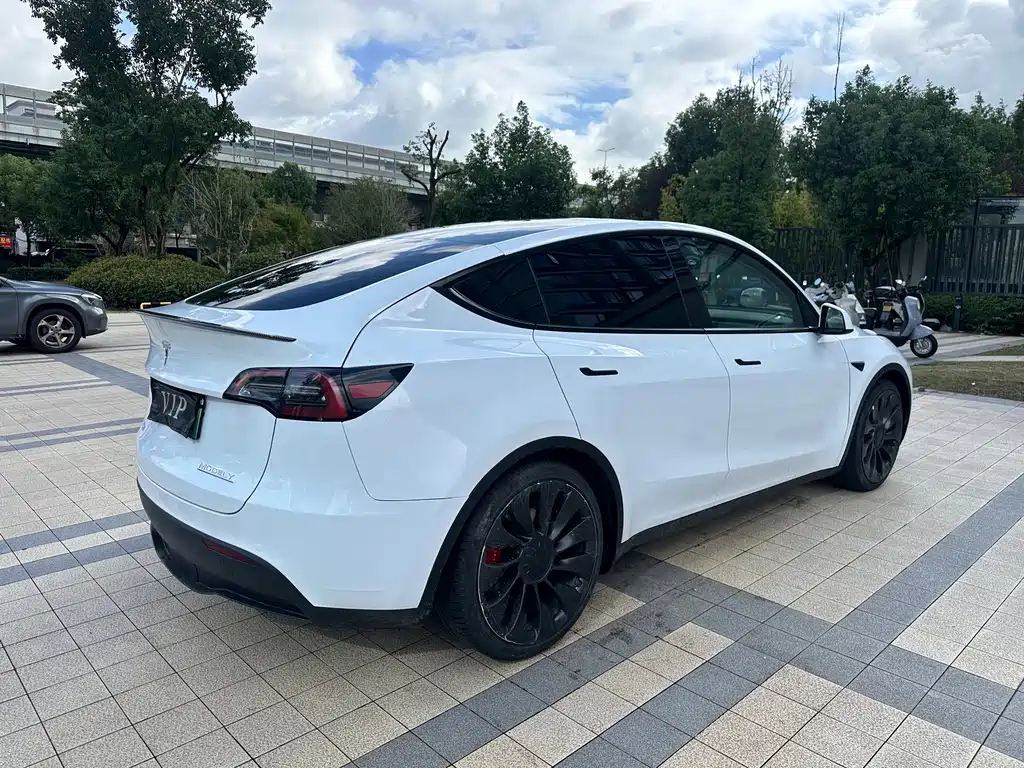Tesla Model Y — миниатюра 13