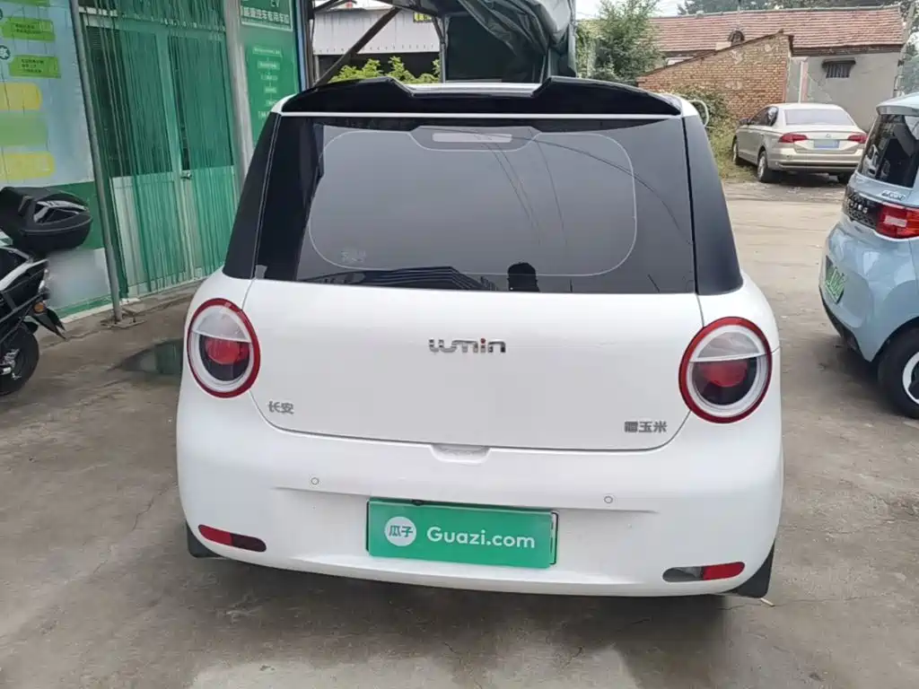 Qiyuan Lumin — миниатюра 6