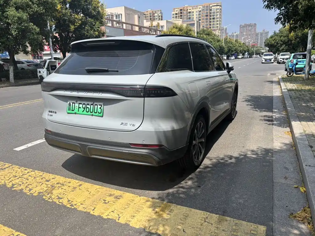 Fulwin Fengyun T9 — миниатюра 3