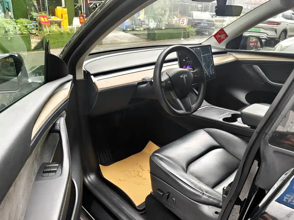 Tesla Model Y — миниатюра 4