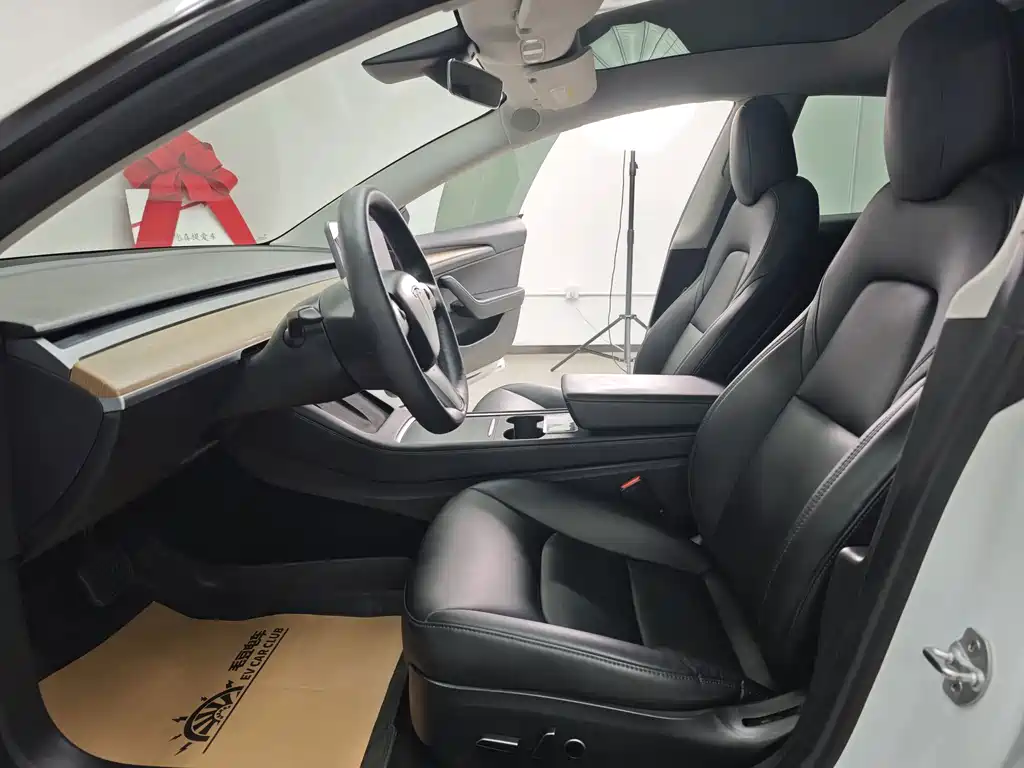Tesla Model 3 — миниатюра 45