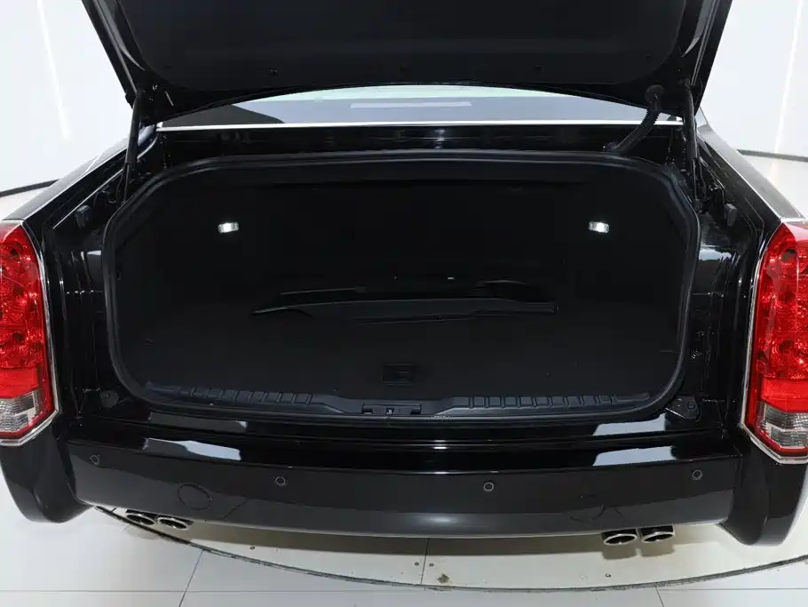 Hongqi Hongqi Golden Sunflower Guoli — миниатюра 9