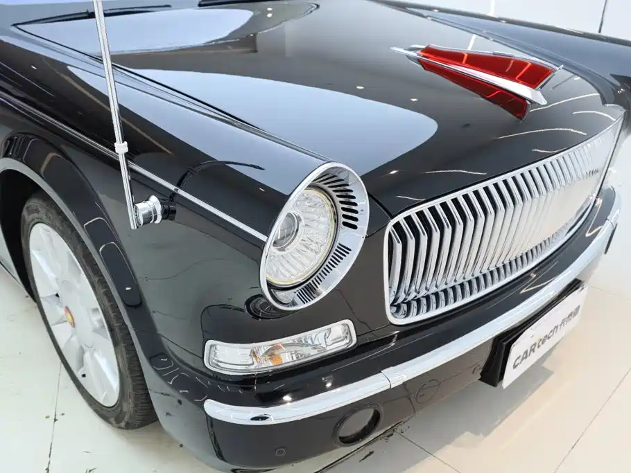 Hongqi Hongqi Golden Sunflower Guoli — миниатюра 11