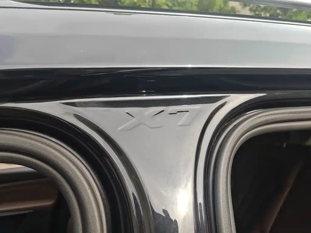 BMW X7 — миниатюра 34