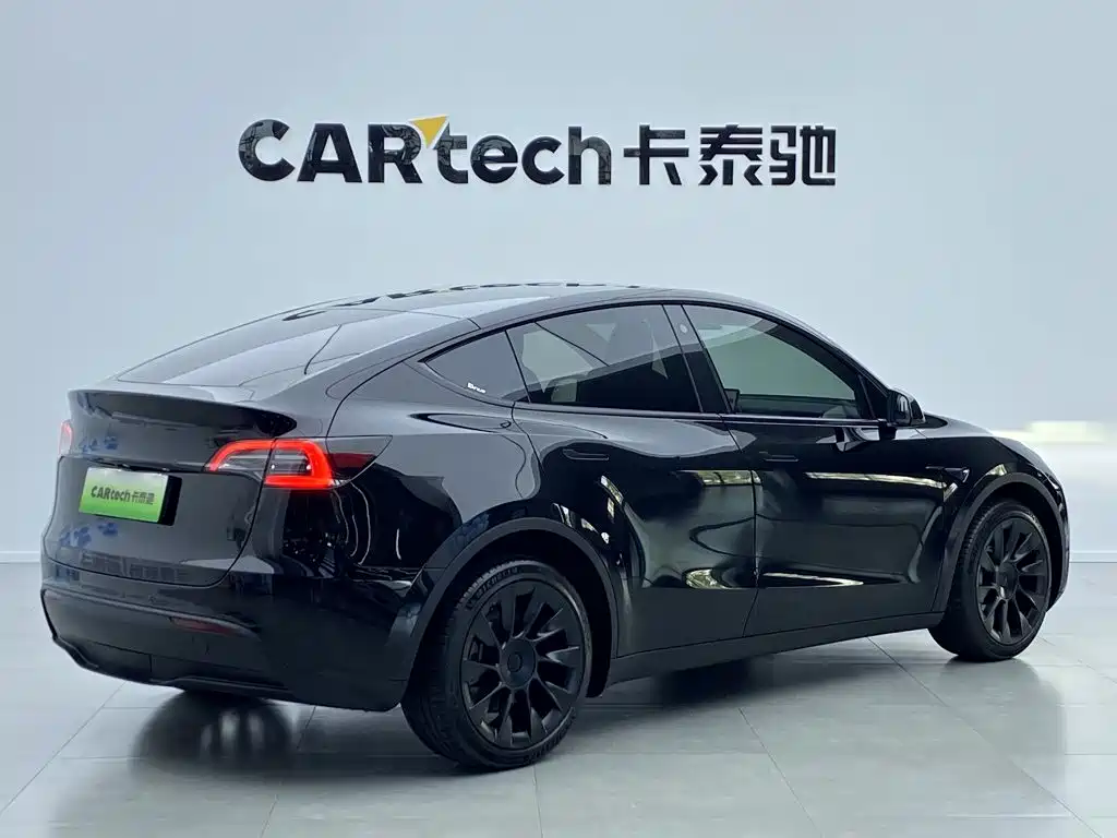 Tesla Model Y — миниатюра 12