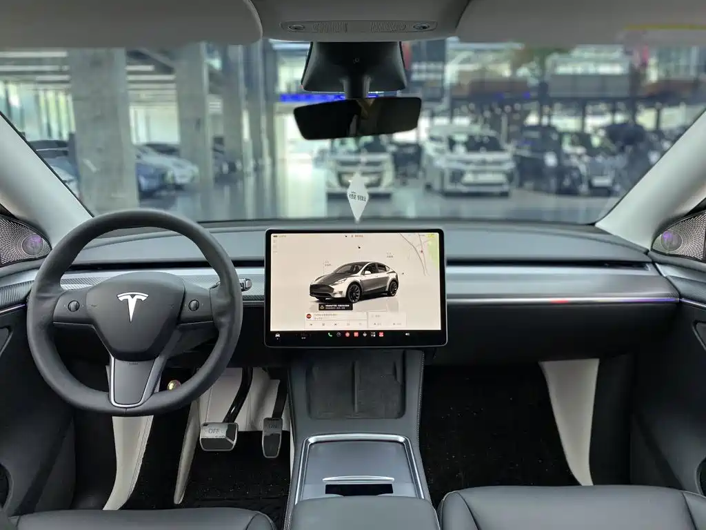 Tesla Model Y — миниатюра 15