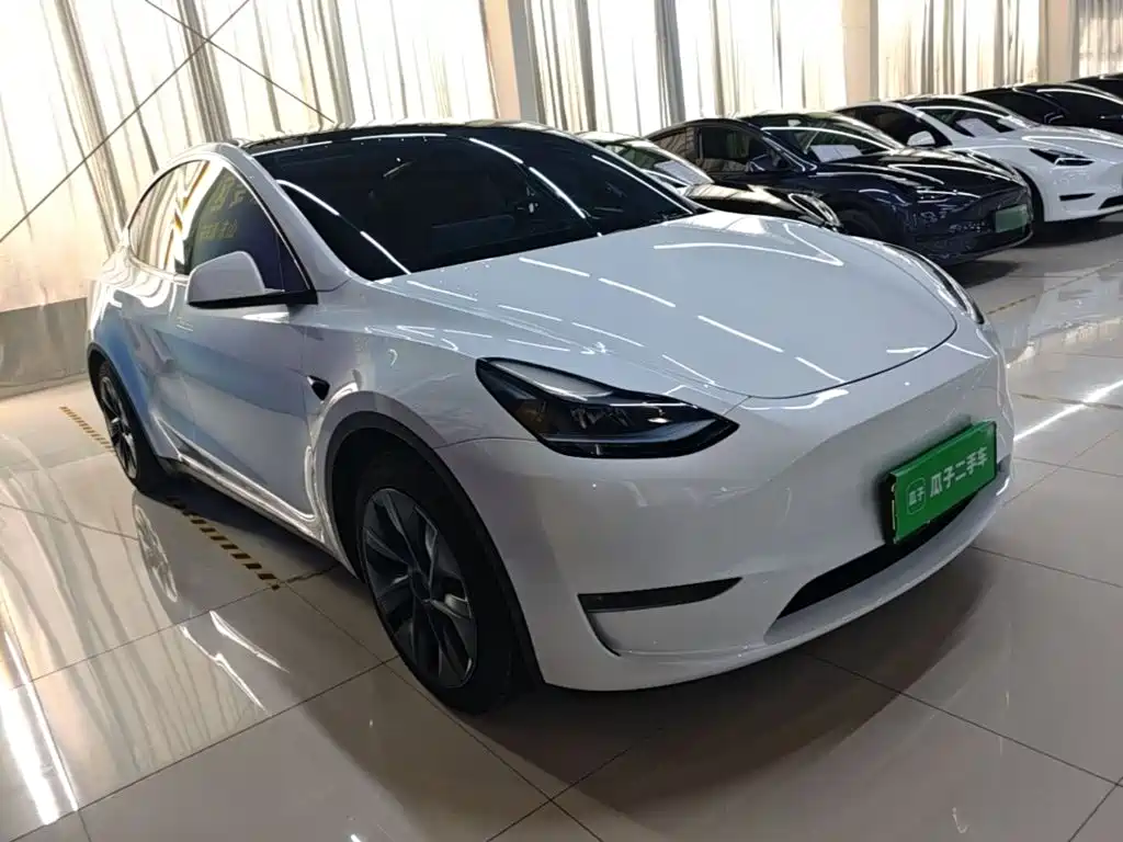 Tesla Model Y — миниатюра 4
