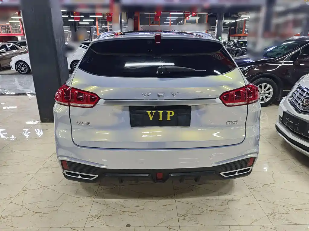 WEI PAI WEI BRAND VV5