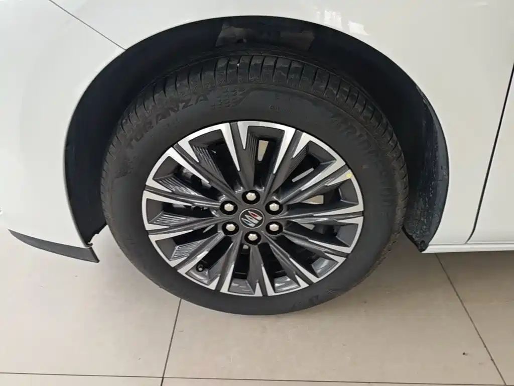 Buick GL8 — миниатюра 23