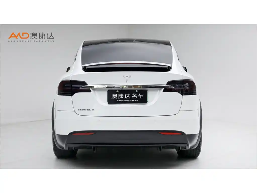 Tesla Model X — миниатюра 4