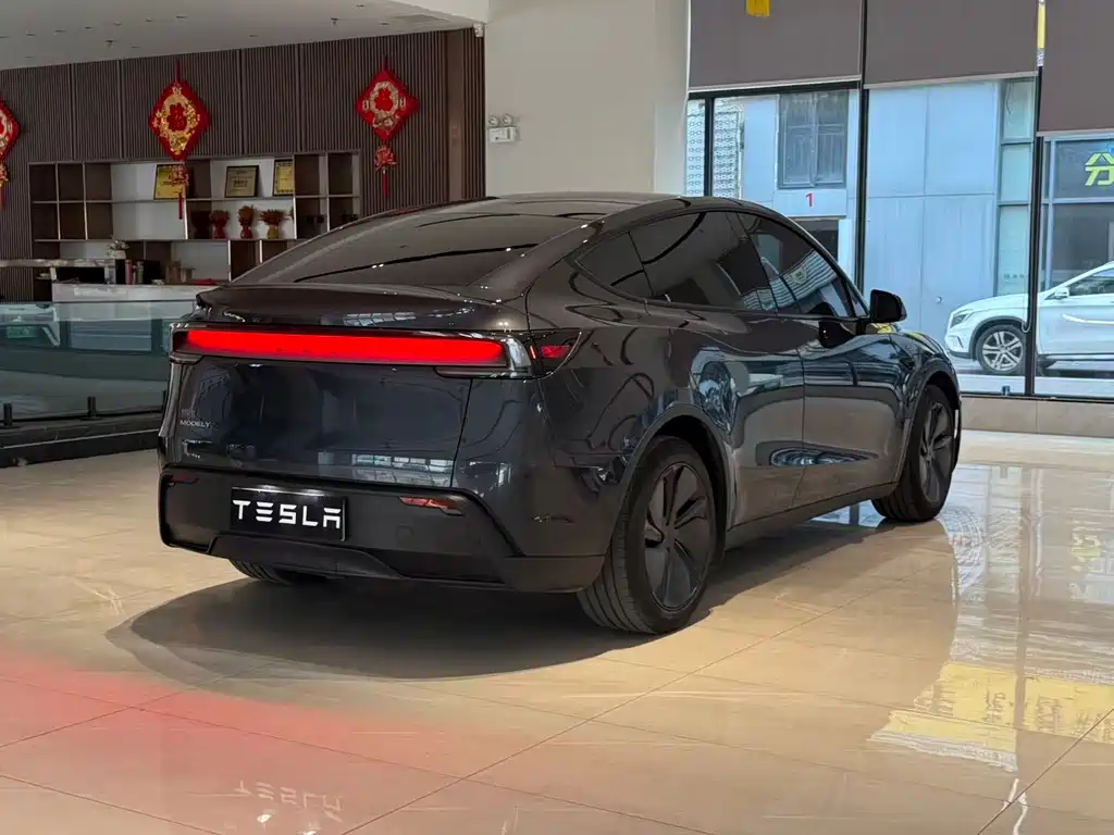 Tesla Model Y — миниатюра 6