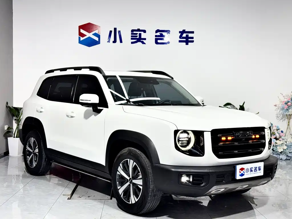 Haval Big Dog - фото 3