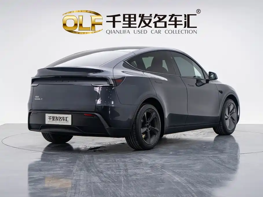 Tesla Model Y — миниатюра 3