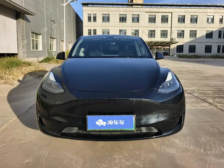 Tesla Model Y — миниатюра 2