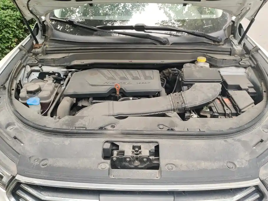 Haval H4 — миниатюра 10