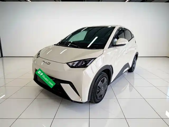 2023 BYD Seagull