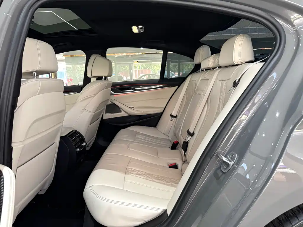 BMW 5 Series (Import) — миниатюра 5