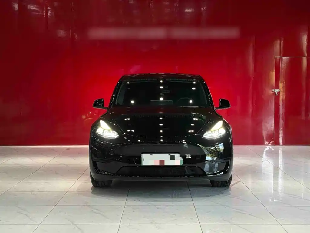 Tesla Model Y — миниатюра 7