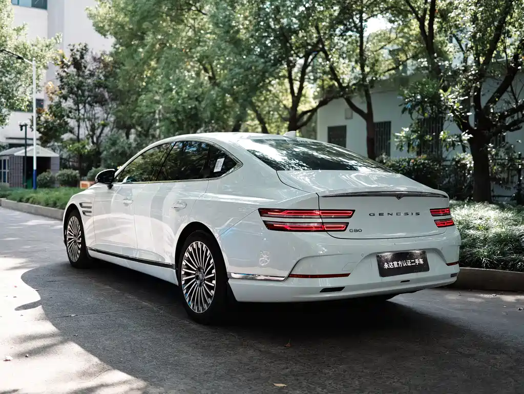 Genesis Electric G80 — миниатюра 5