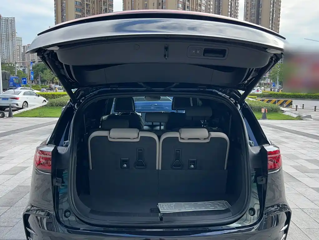 BYD Tang New Energy — миниатюра 14