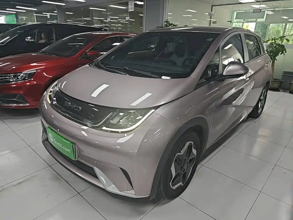 2022 BYD Dolphin - zdjęcie 1 z 25