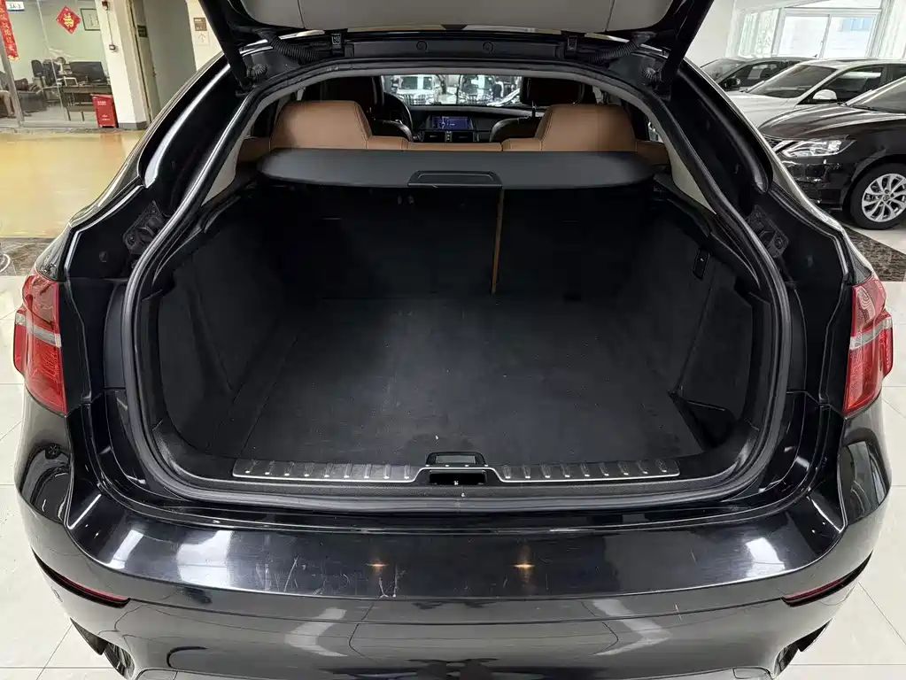 BMW X6 — миниатюра 24