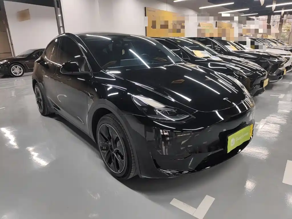 Tesla Model Y — миниатюра 4
